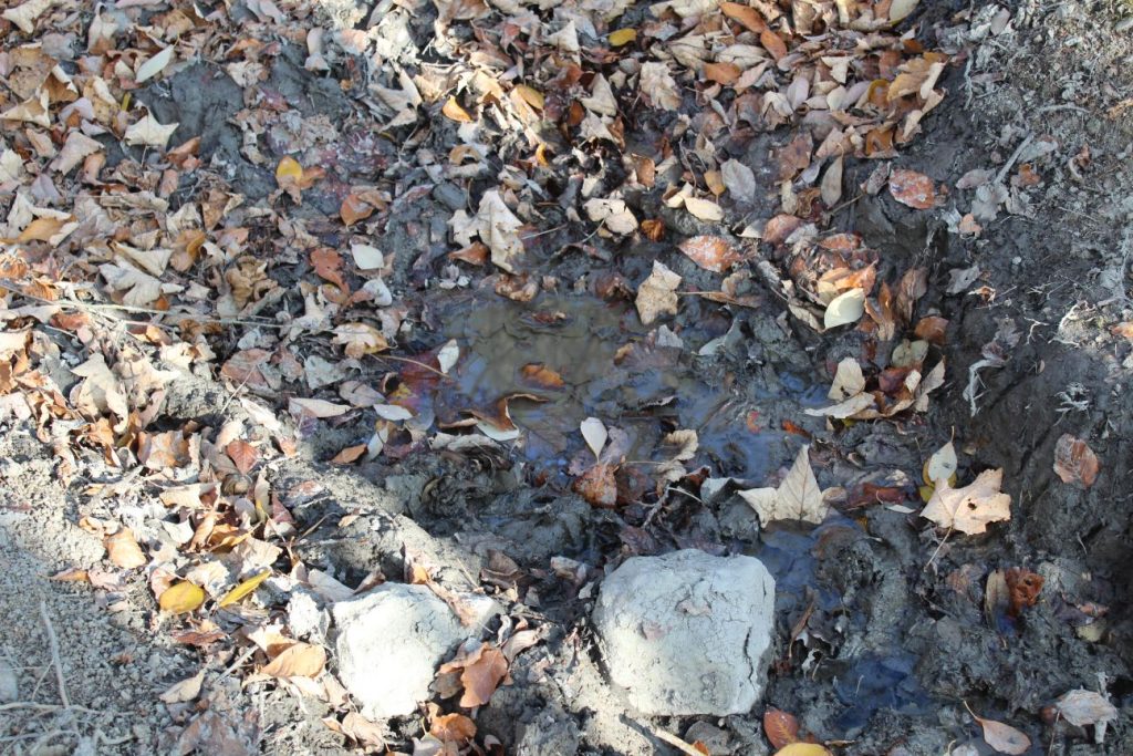 Prameň pod cestou na Vrchlúky, Ružomberok - Vlkolínec 02 Prameň pod cestou na Vrchlúky, Ružomberok - Vlkolínec 02