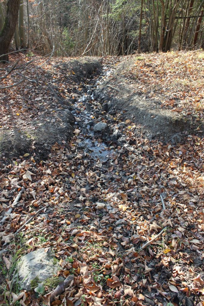 Prameň pod cestou na Vrchlúky, Ružomberok - Vlkolínec 03 Prameň pod cestou na Vrchlúky, Ružomberok - Vlkolínec 03