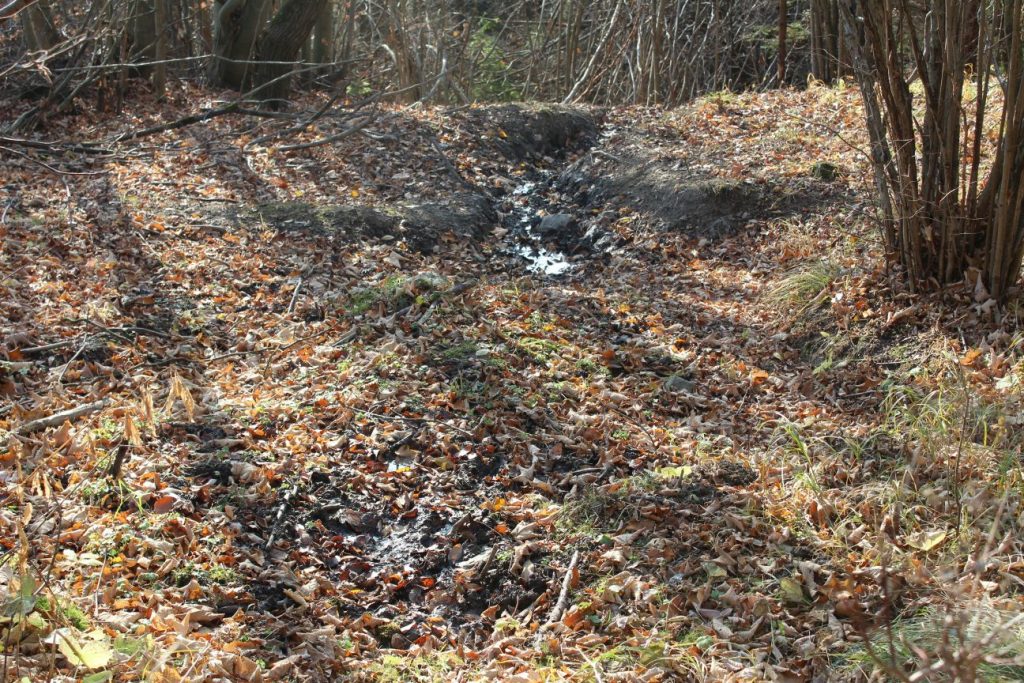 Prameň pod cestou na Vrchlúky, Ružomberok - Vlkolínec 05 Prameň pod cestou na Vrchlúky, Ružomberok - Vlkolínec 05