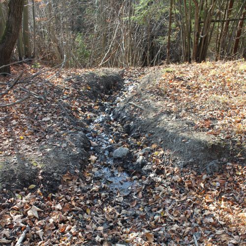 Spring below the road to Vrchlúky, Ružomberok – Vlkolínec