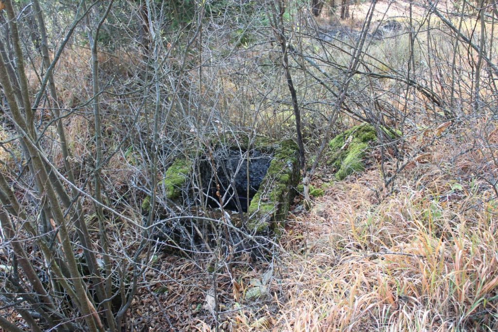 Prameň šachta pod cestou na Vrchlúky, Ružomberok - Vlkolínec 01 Prameň šachta pod cestou na Vrchlúky, Ružomberok - Vlkolínec 01