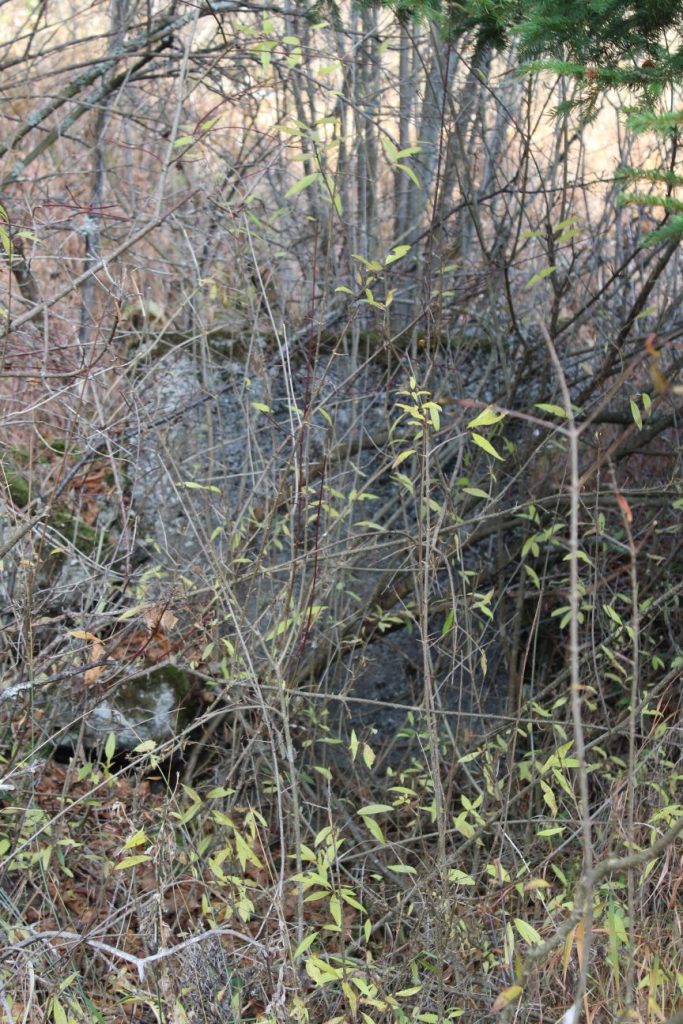 Prameň šachta pod cestou na Vrchlúky, Ružomberok - Vlkolínec 03 Prameň šachta pod cestou na Vrchlúky, Ružomberok - Vlkolínec 03