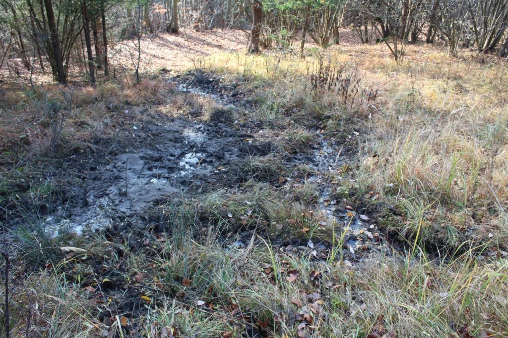 Prameň šachta pod cestou na Vrchlúky, Ružomberok - Vlkolínec 04 Prameň šachta pod cestou na Vrchlúky, Ružomberok - Vlkolínec 04