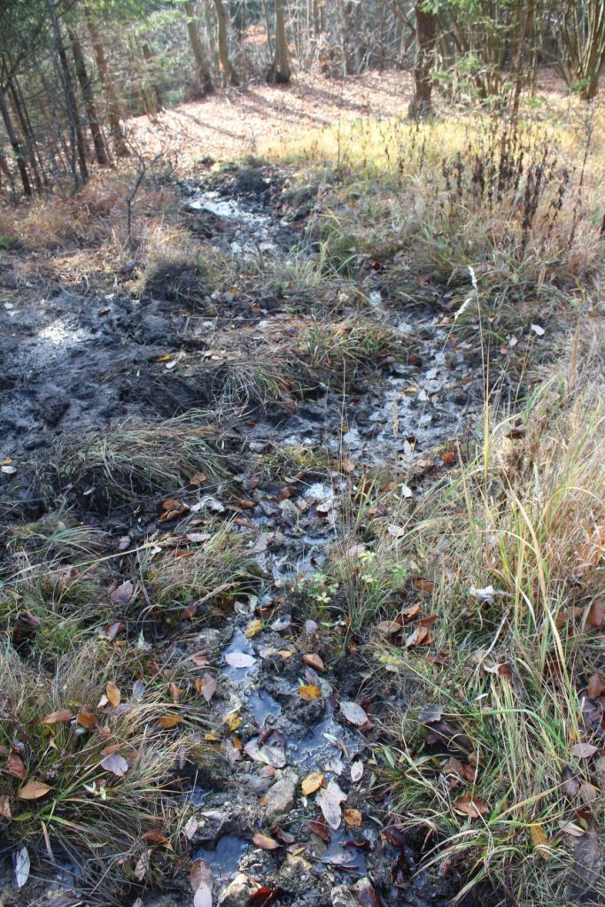 Prameň šachta pod cestou na Vrchlúky, Ružomberok - Vlkolínec 05 Prameň šachta pod cestou na Vrchlúky, Ružomberok - Vlkolínec 05