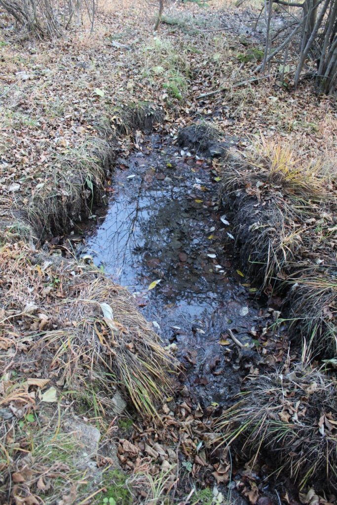 Prameň v kanáli vlkolínskeho vodovodu, Ružomberok - Vlkolínec 01 Prameň v kanáli vlkolínskeho vodovodu, Ružomberok - Vlkolínec 01