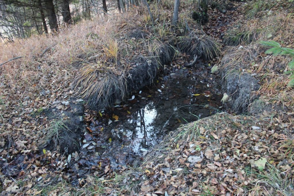 Prameň v kanáli vlkolínskeho vodovodu, Ružomberok - Vlkolínec 02 Prameň v kanáli vlkolínskeho vodovodu, Ružomberok - Vlkolínec 02