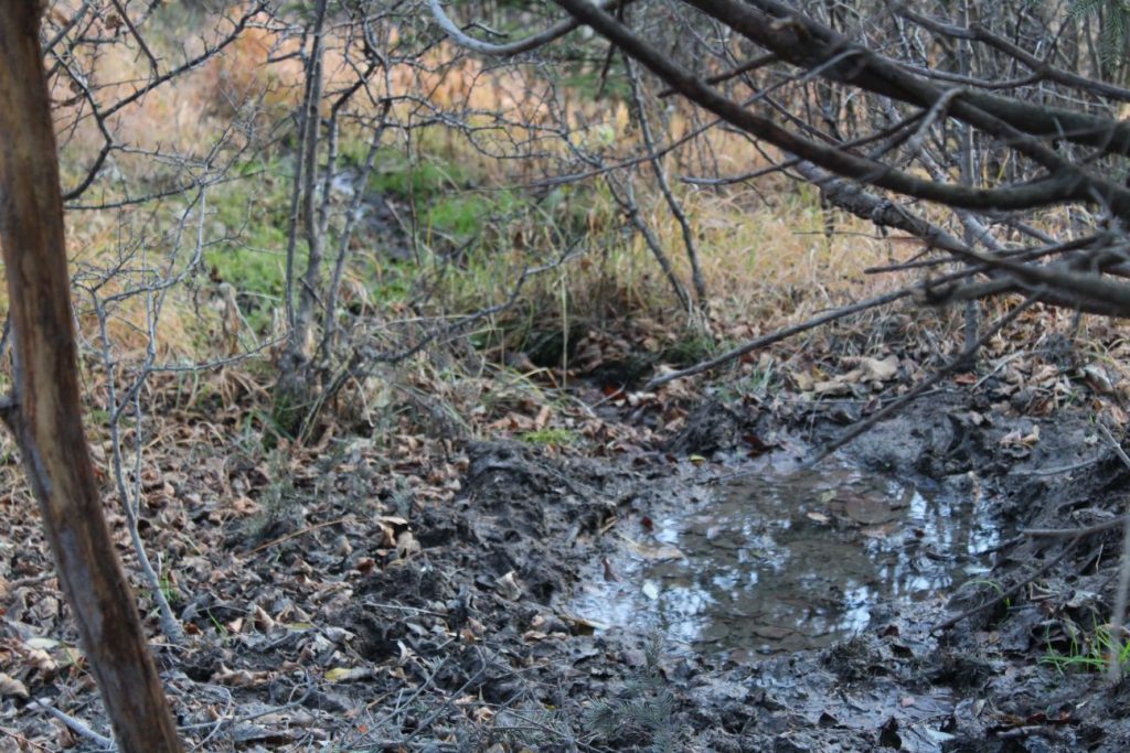 Prameň v kanáli vlkolínskeho vodovodu, Ružomberok - Vlkolínec 03 Prameň v kanáli vlkolínskeho vodovodu, Ružomberok - Vlkolínec 03