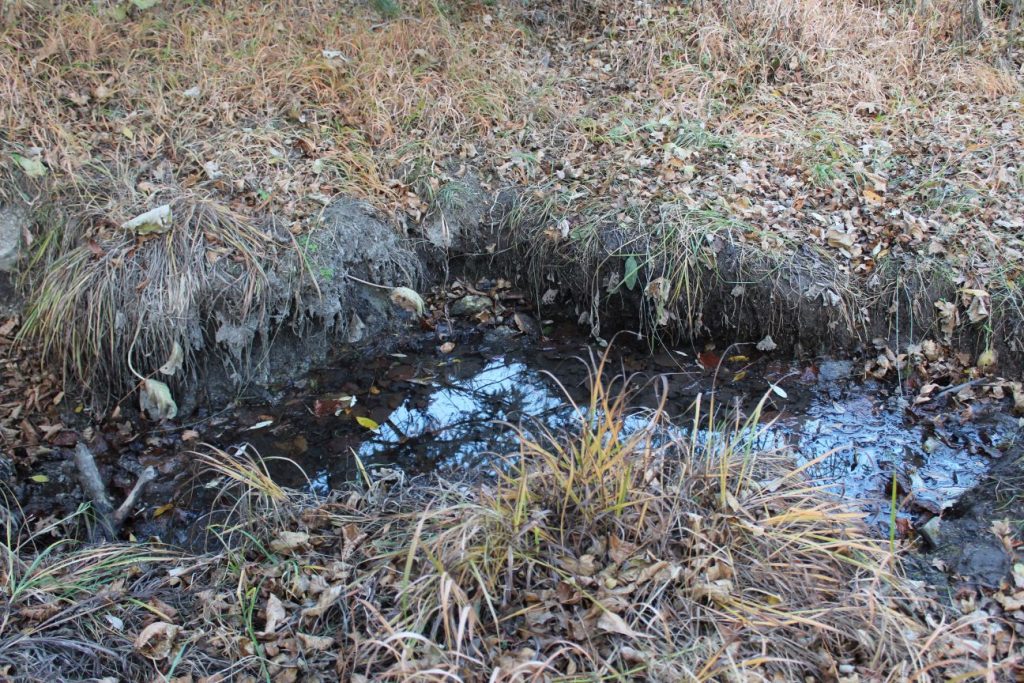 Prameň v kanáli vlkolínskeho vodovodu, Ružomberok - Vlkolínec 04 Prameň v kanáli vlkolínskeho vodovodu, Ružomberok - Vlkolínec 04