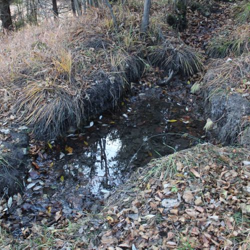 Spring in the canal of the Vlkolínec water line, Ružomberok – Vlkolínec