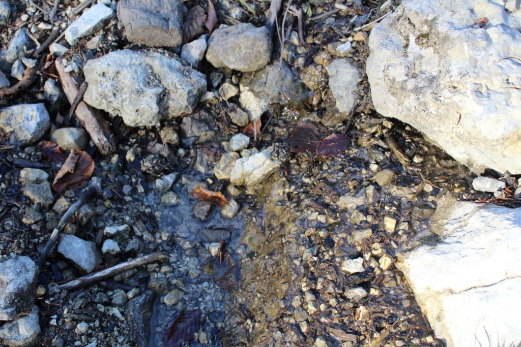 Prameň v lesnej ceste, Ružomberok - Hrboltová 01