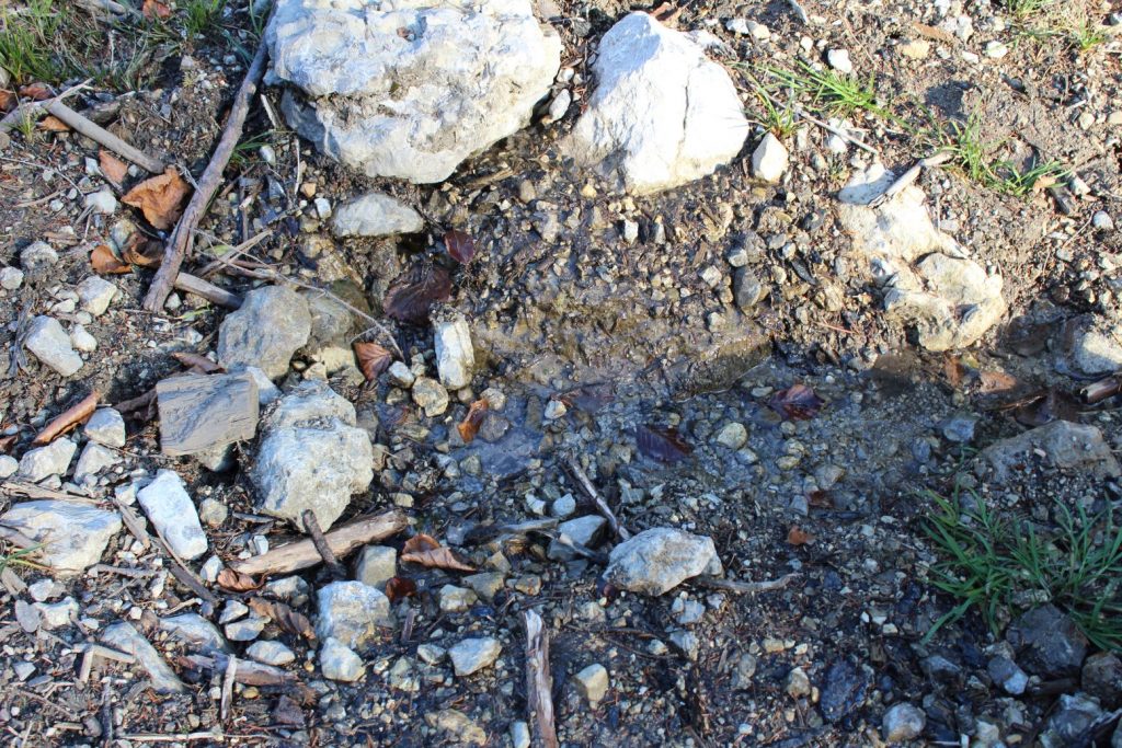 Prameň v lesnej ceste, Ružomberok - Hrboltová 02