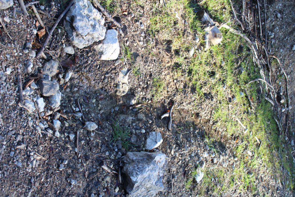 Prameň v lesnej ceste, Ružomberok - Hrboltová 04