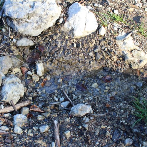 Spring on a forest road, Ružomberok – Hrboltová