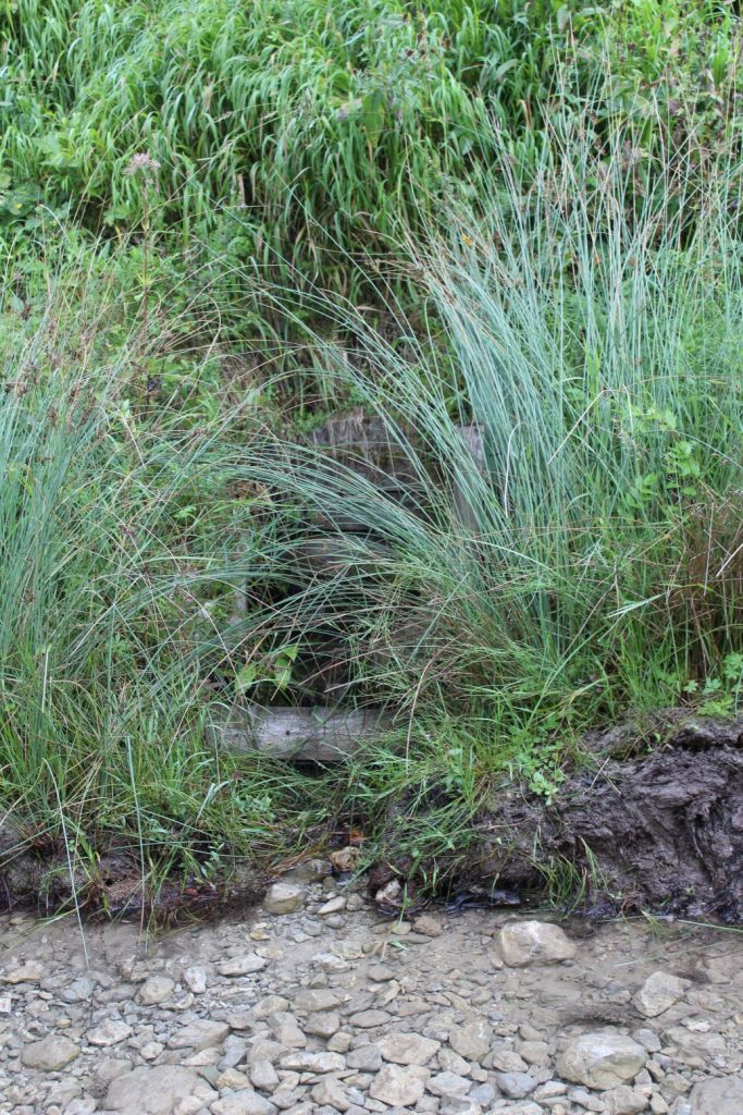 Prameň v ústí Sliačskej doliny, Liptovské Sliače - Stredný 01 Prameň v ústí Sliačskej doliny, Liptovské Sliače - Stredný 01