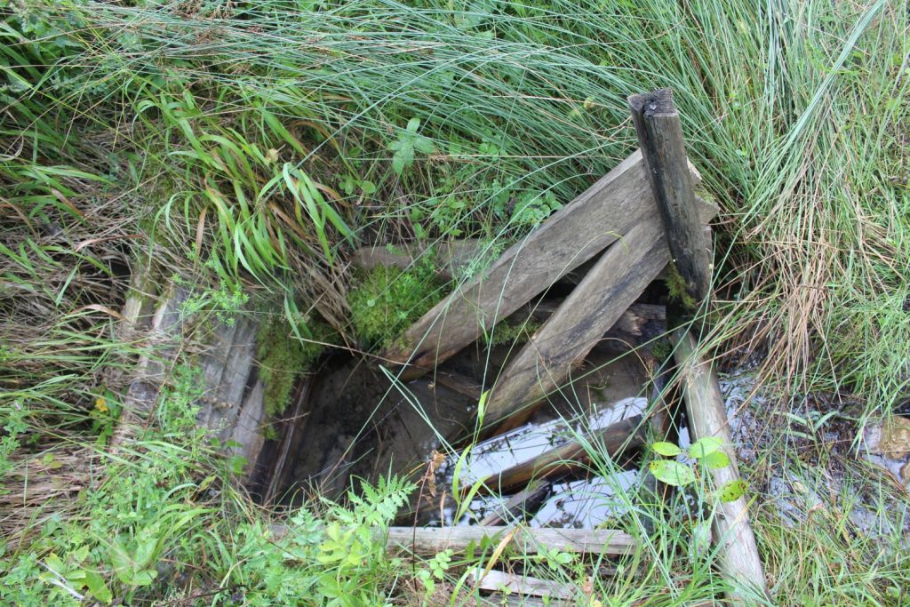 Prameň v ústí Sliačskej doliny, Liptovské Sliače - Stredný 02 Prameň v ústí Sliačskej doliny, Liptovské Sliače - Stredný 02