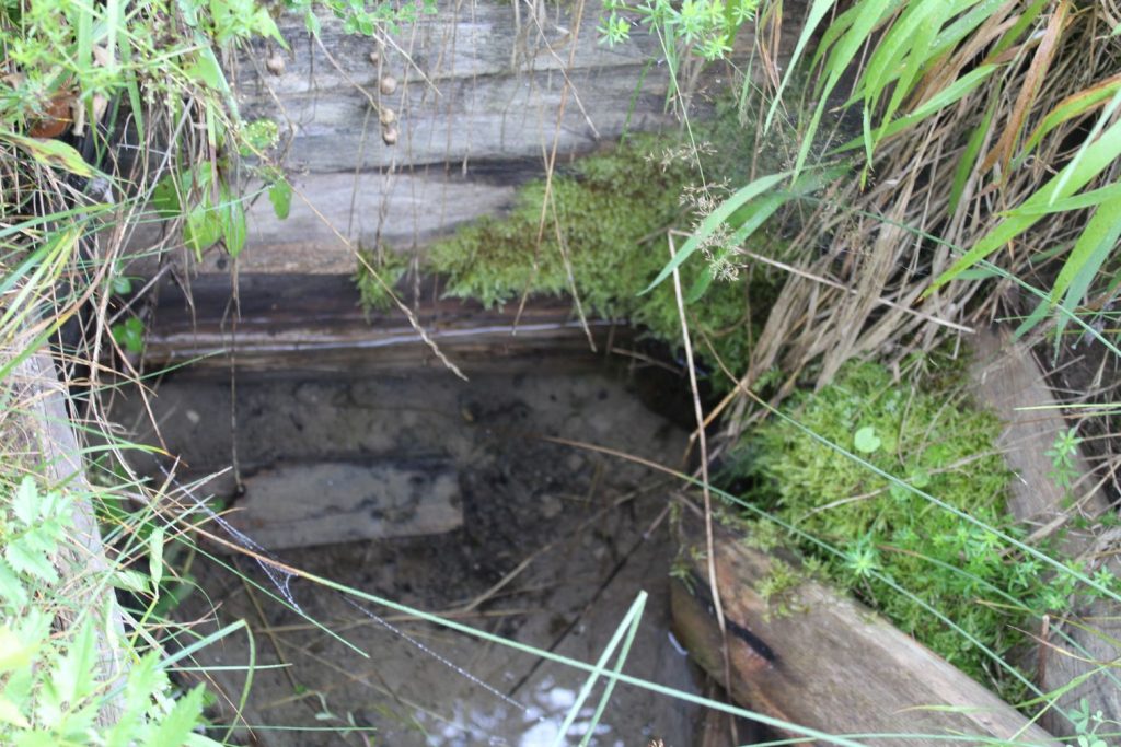 Prameň v ústí Sliačskej doliny, Liptovské Sliače - Stredný 04 Prameň v ústí Sliačskej doliny, Liptovské Sliače - Stredný 04