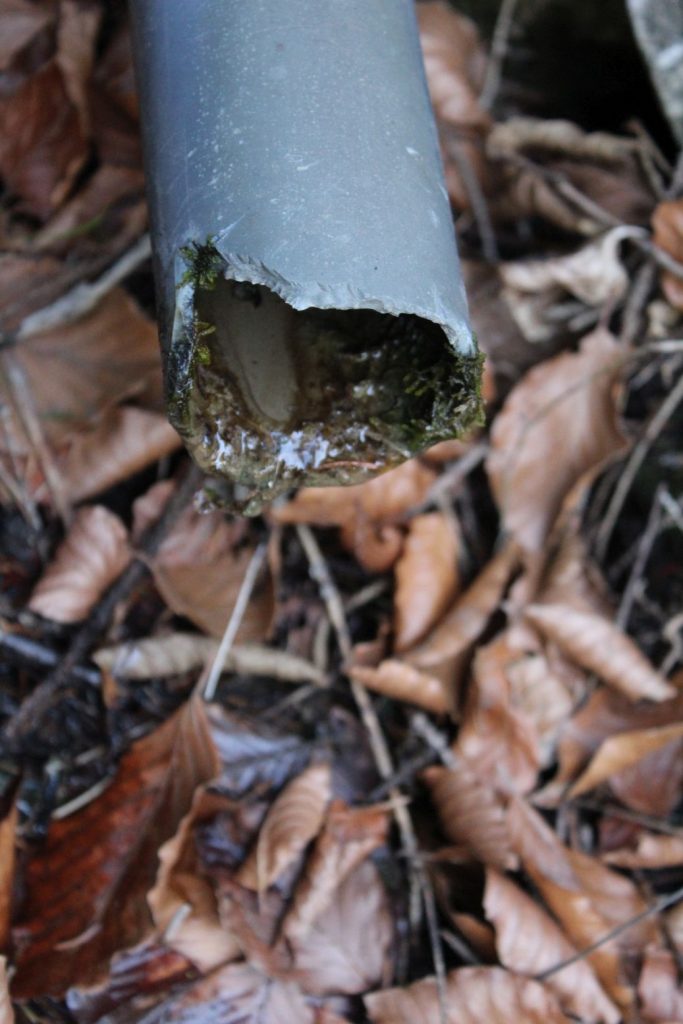 Prameň žliebok pod Radičinou, Ružomberok - Hrboltová 03