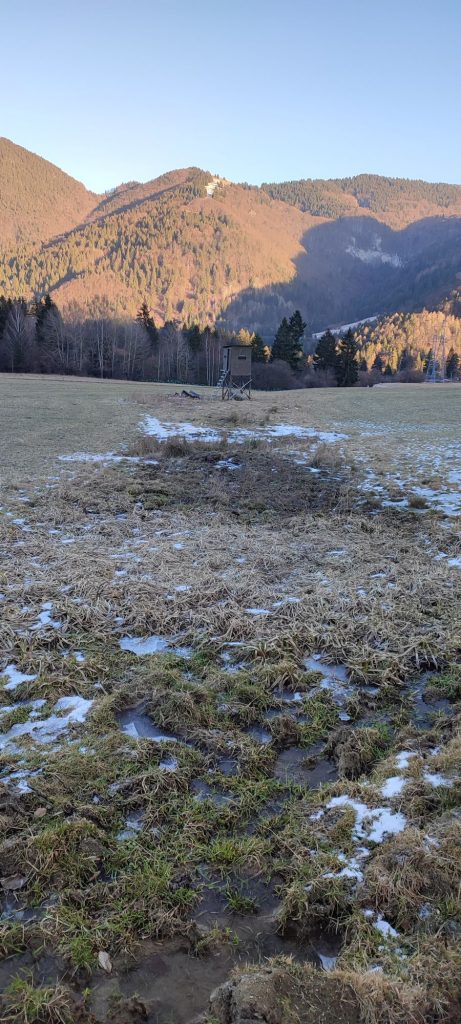 Pramenisko Sojkov pri posede, Ružomberok - Podsuchá 05