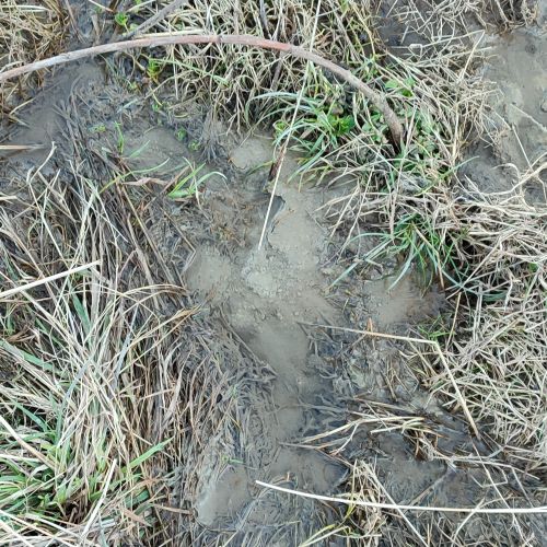 Spring area Sojkov by a hunters’ hide, Ružomberok – Podsuchá