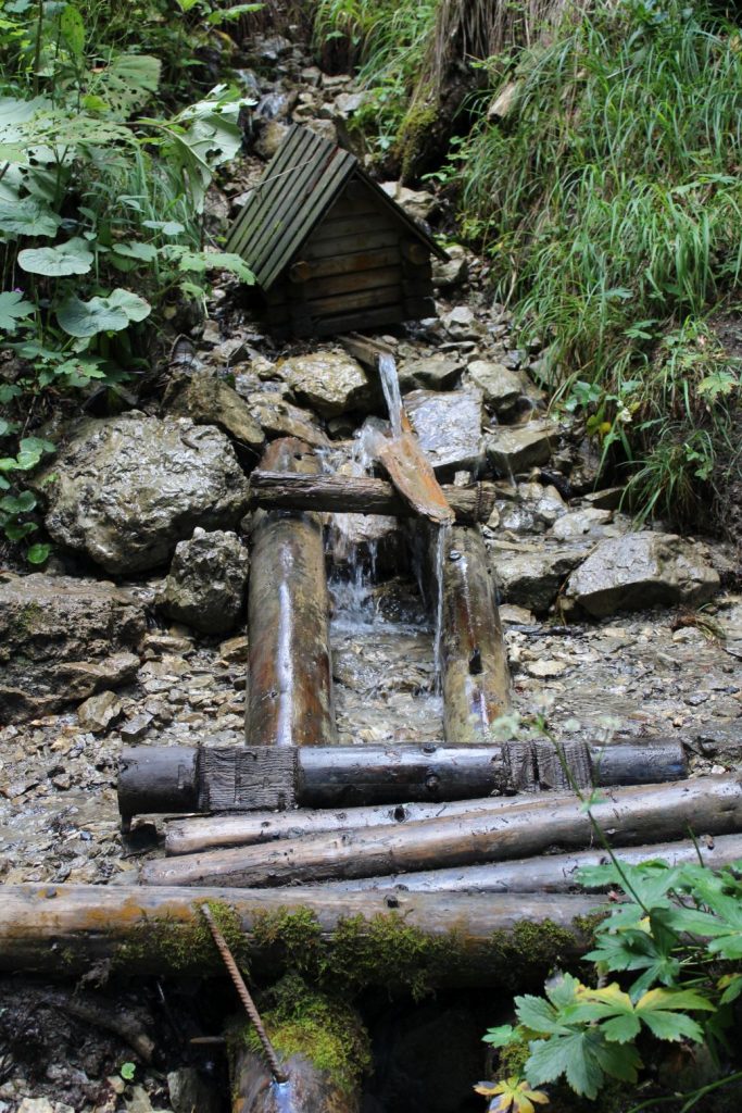Studnička na Žimerovom potoku, Lúčky 03 Studnička na Žimerovom potoku, Lúčky 03