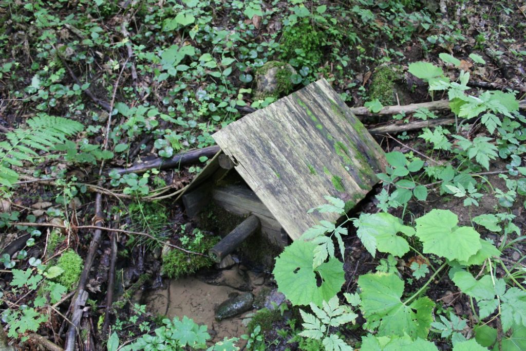Studnička v Jastrabej doline, Lúčky 01