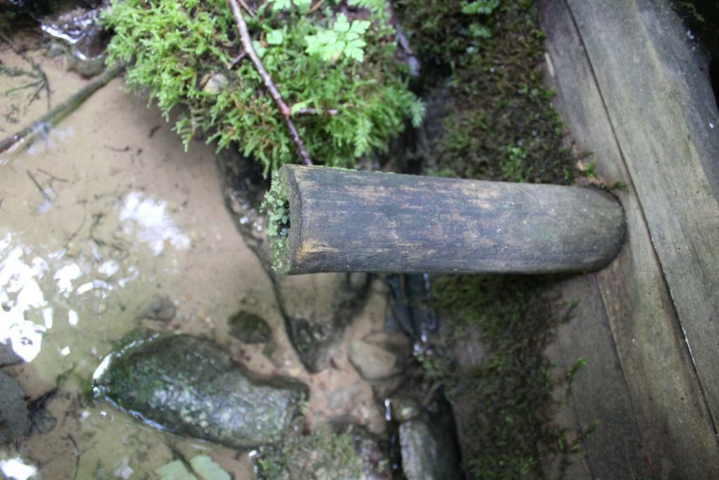 Studnička v Jastrabej doline, Lúčky 02