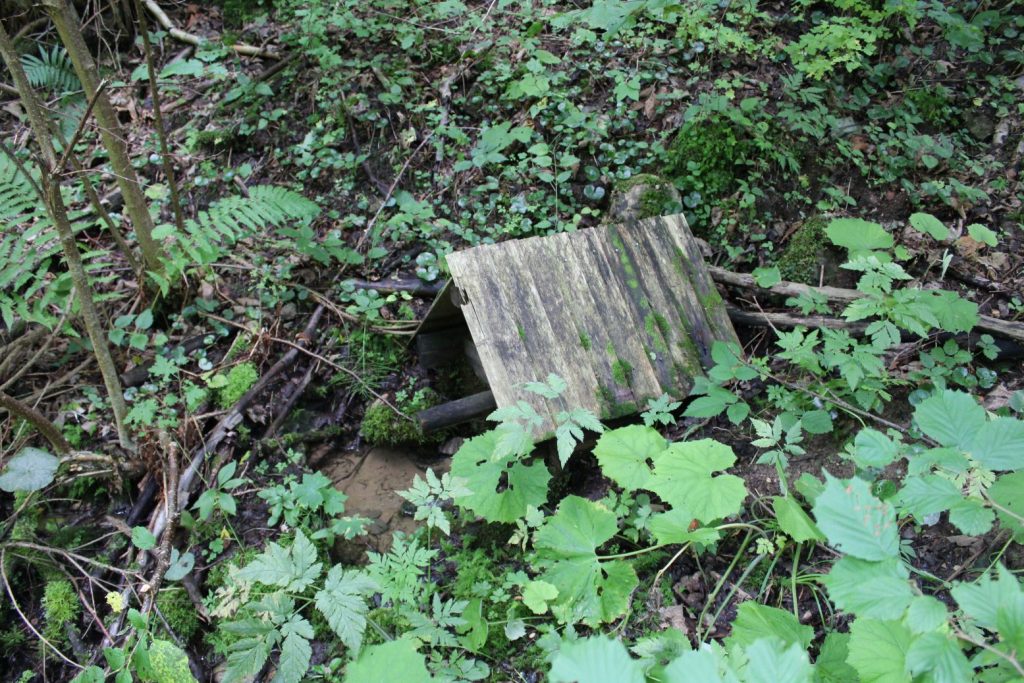 Studnička v Jastrabej doline, Lúčky 03