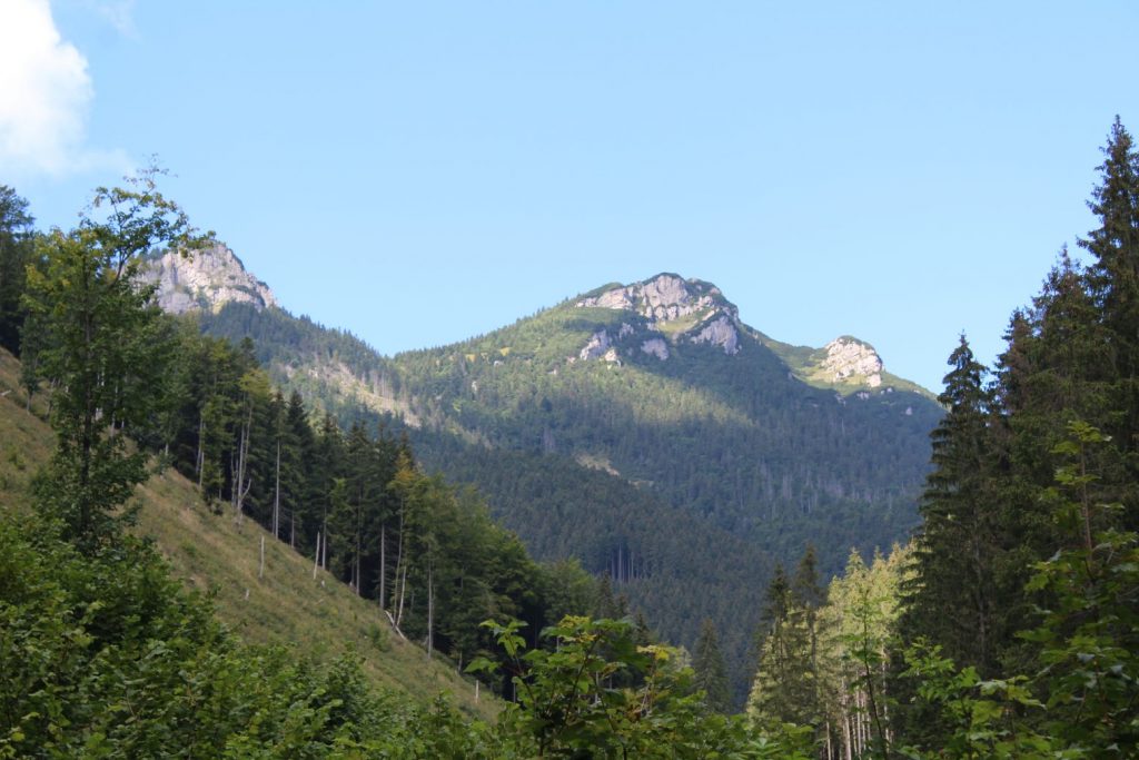 Studnička v Jastrabej doline, Lúčky 04