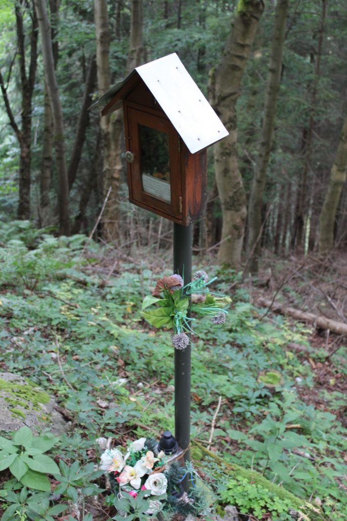 Zastavenie Nebeská Matka pod Makovicou, Liptovské Sliače - Stredný 04