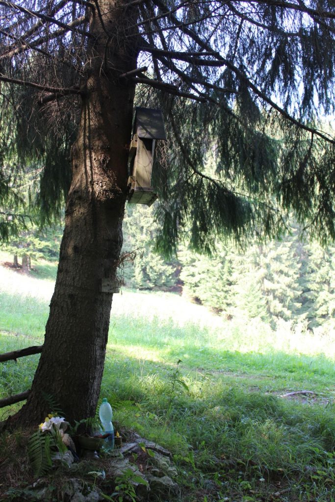 Zastavenie Vidovô, Liptovské Sliače 05 Zastavenie Vidovô, Liptovské Sliače 05