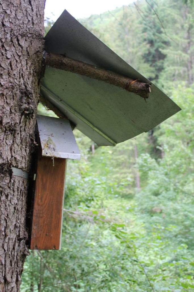 Zastavenie pred koncom Sliačskej doliny, Liptovské Sliače - Stredný 04 Zastavenie pred koncom Sliačskej doliny, Liptovské Sliače - Stredný 04