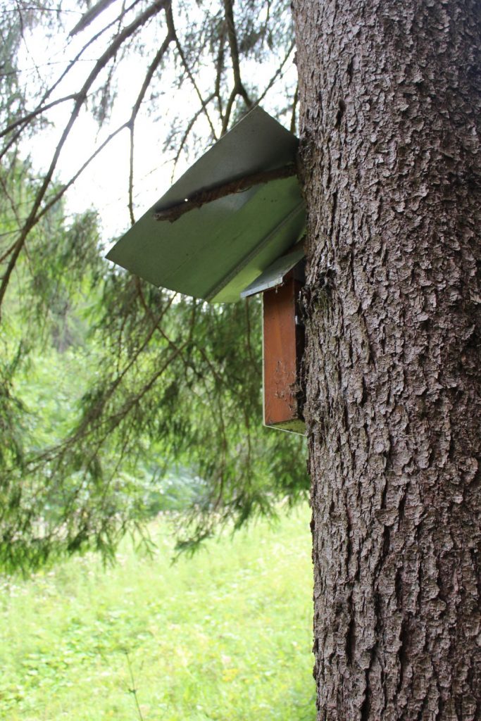 Zastavenie pred koncom Sliačskej doliny, Liptovské Sliače - Stredný 05 Zastavenie pred koncom Sliačskej doliny, Liptovské Sliače - Stredný 05