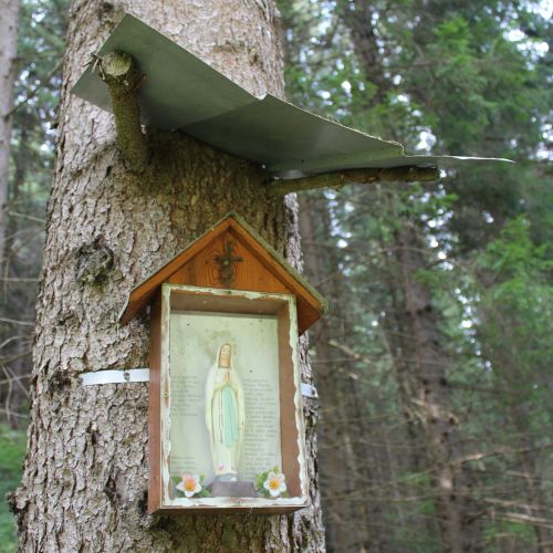Station near the end of the Sliačska Valley, Liptovské Sliače – Stredný