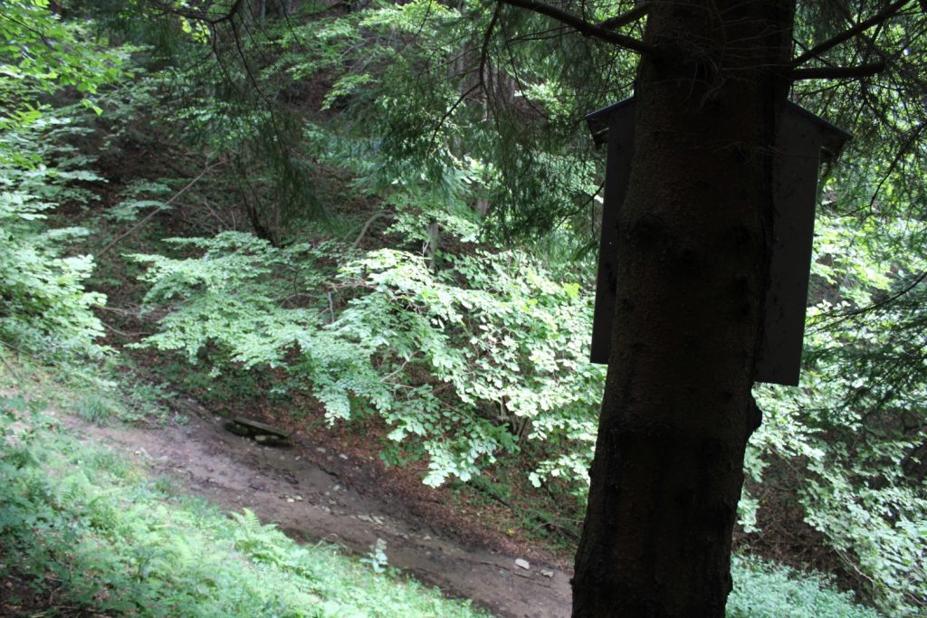 Zastavenie v Jastrabej doline, Lúčky 05 Zastavenie v Jastrabej doline, Lúčky 05