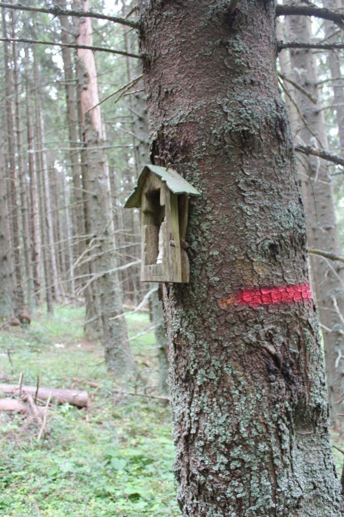 Zastavenie v sedle pod Chopcom, Liptovská Štiavnica 03