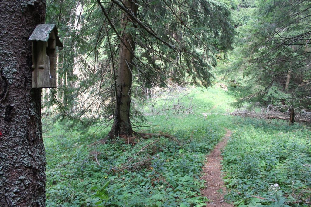 Zastavenie v sedle pod Chopcom, Liptovská Štiavnica 04