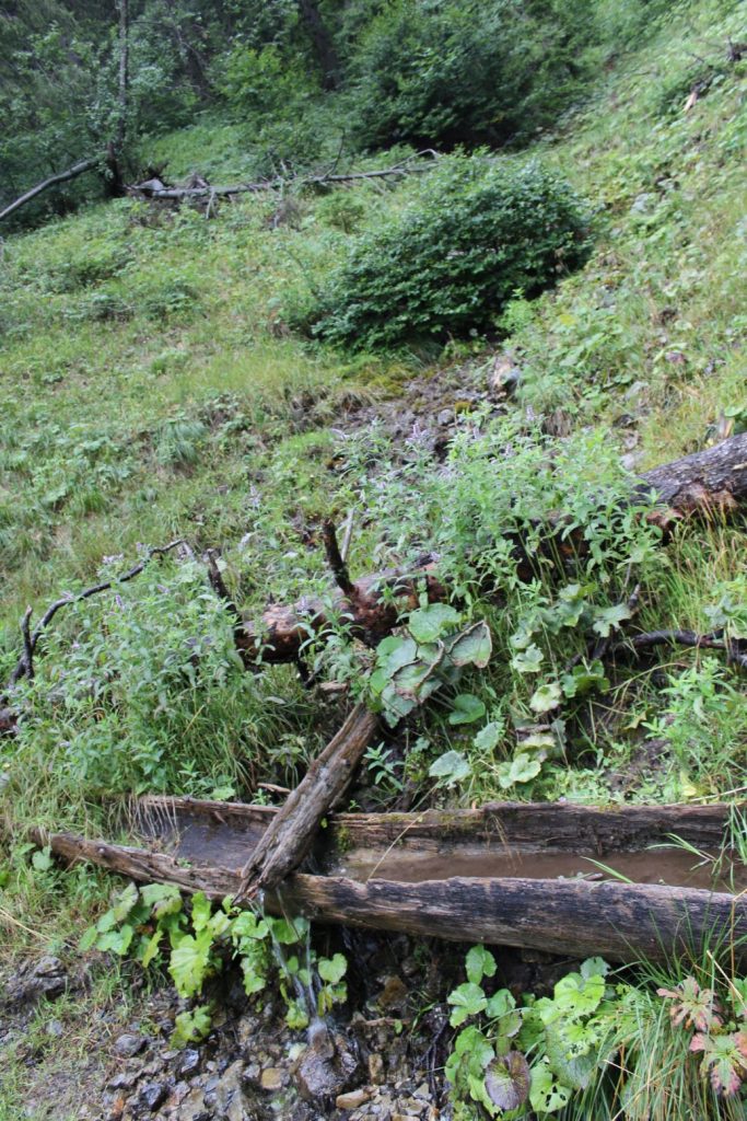 Žliabok nad Dvoriskom, Ľubochňa 04