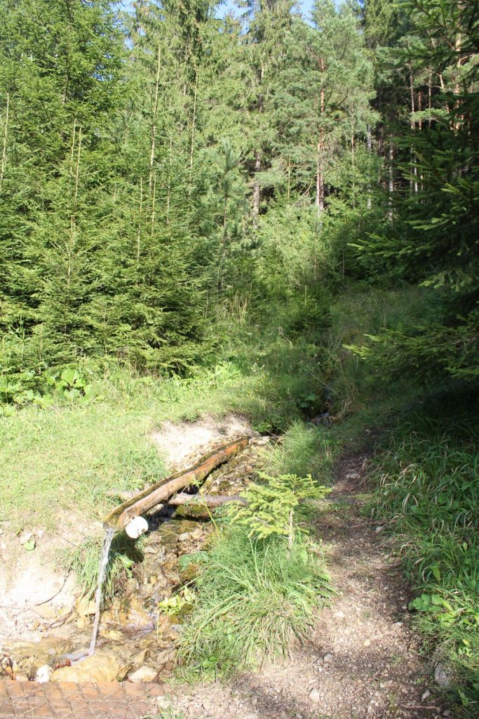 Žliabok pod Žiarcom, Valaská Dubová 06