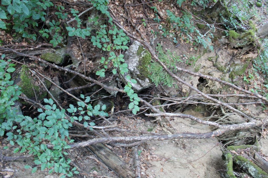 Prameň Budkovica veľký, Černová 01