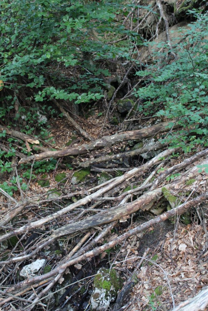 Prameň Budkovica veľký, Černová 03