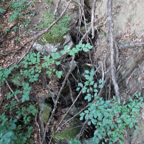 Spring Budkovica, large, Černová