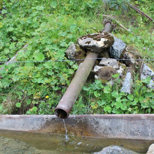 Spring of the Čutkovský creek, Černová