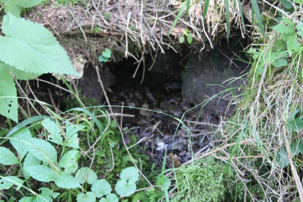 Prameň Droždivá, Ludrovská dolina 01