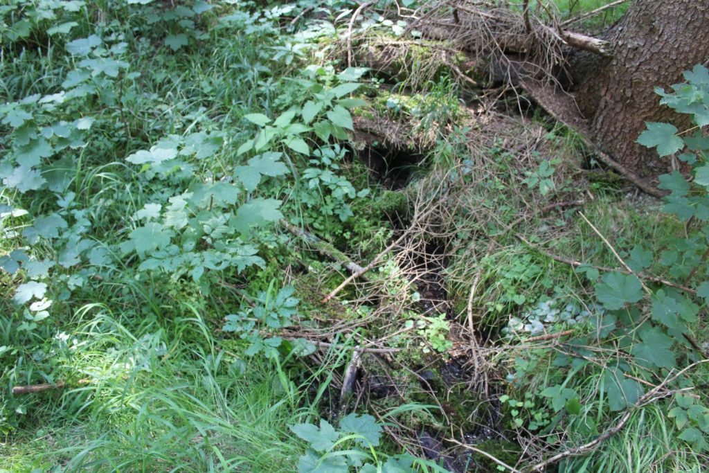 Prameň Droždivá, Ludrovská dolina 02