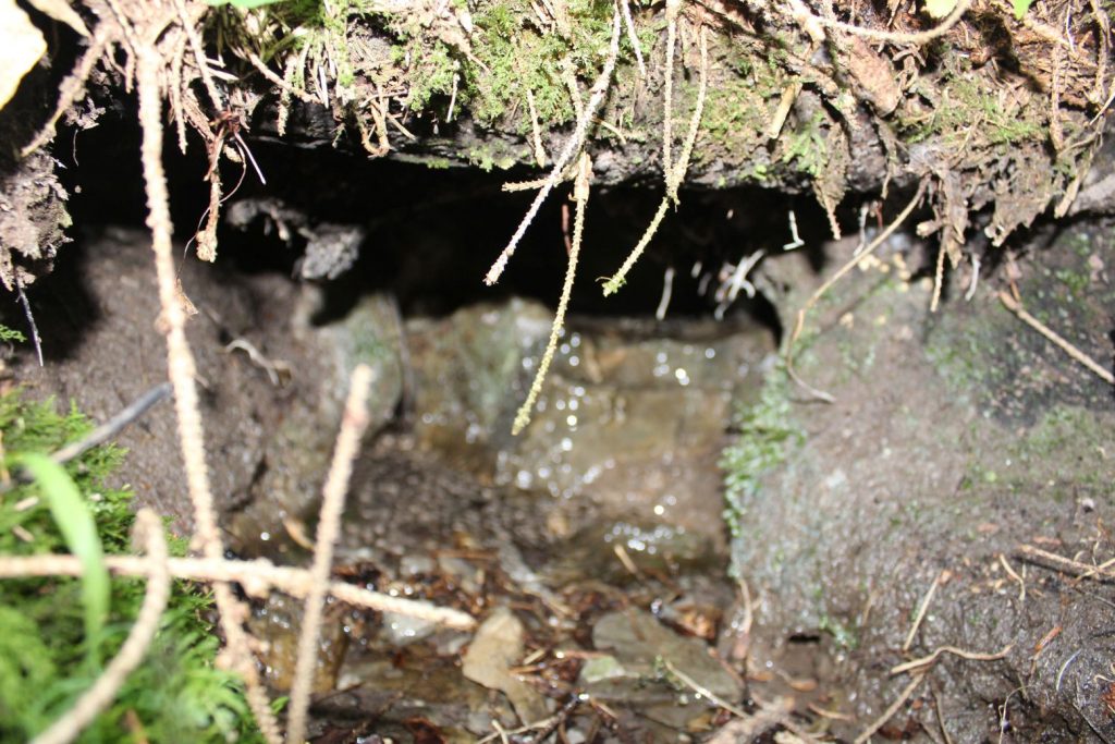 Prameň Droždivá, Ludrovská dolina 03