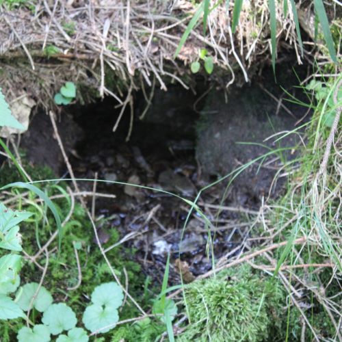 Spring Droždivá, Ludrovská Valley