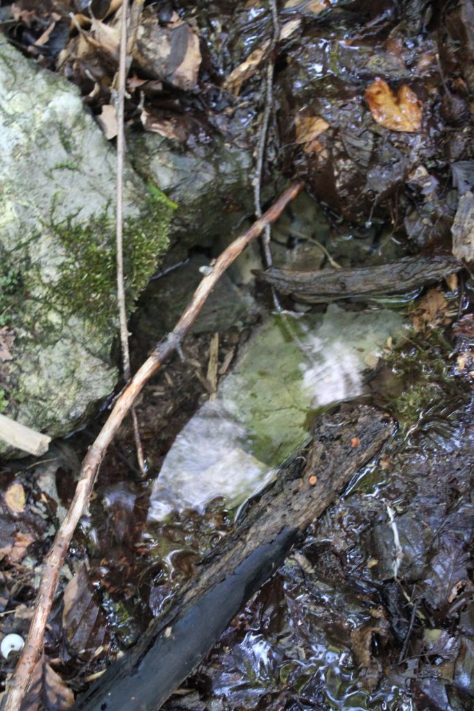 Prameň Dunaj, Ružomberok – Biely Potok 01 Prameň Dunaj, Ružomberok – Biely Potok 01