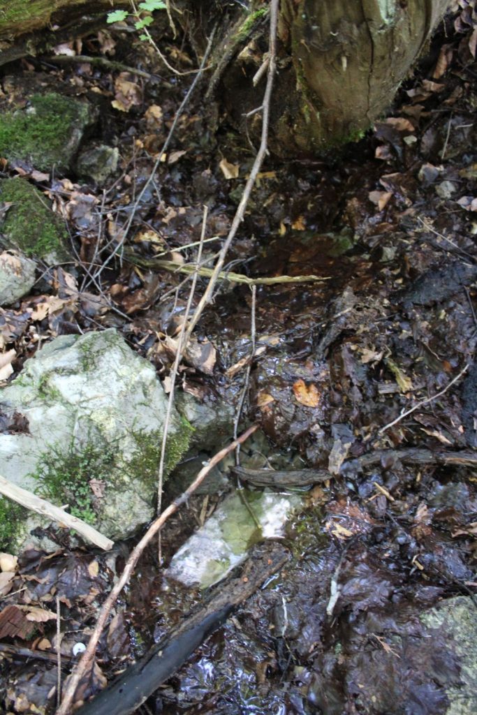 Prameň Dunaj, Ružomberok – Biely Potok 02 Prameň Dunaj, Ružomberok – Biely Potok 02