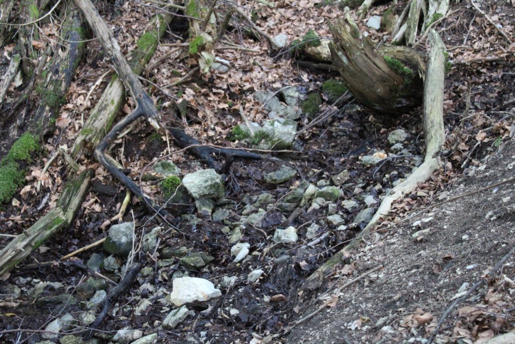 Prameň Dunaj, Ružomberok – Biely Potok 04 Prameň Dunaj, Ružomberok – Biely Potok 04