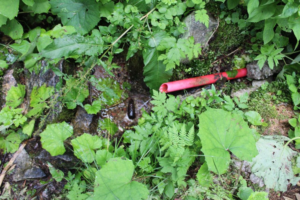 Prameň Matejkovského potoka, Ružomberok 01